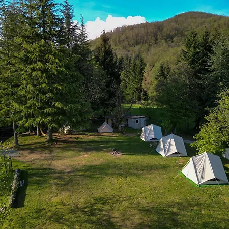 Agricampeggio Federicofarm Camping *