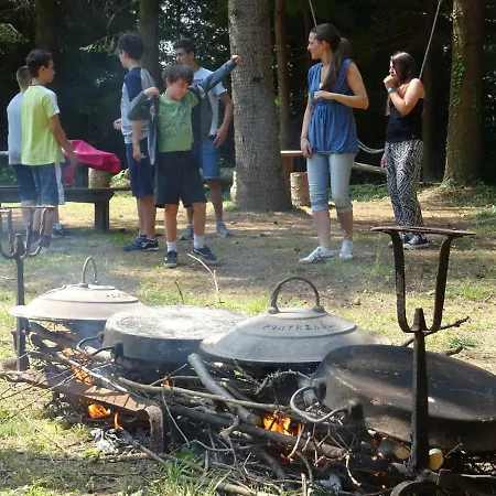 Agricampeggio Federicofarm Camping *